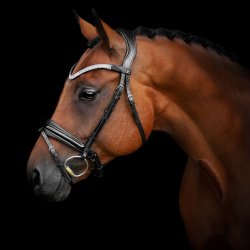 SD Donna Diva browband. Black. 