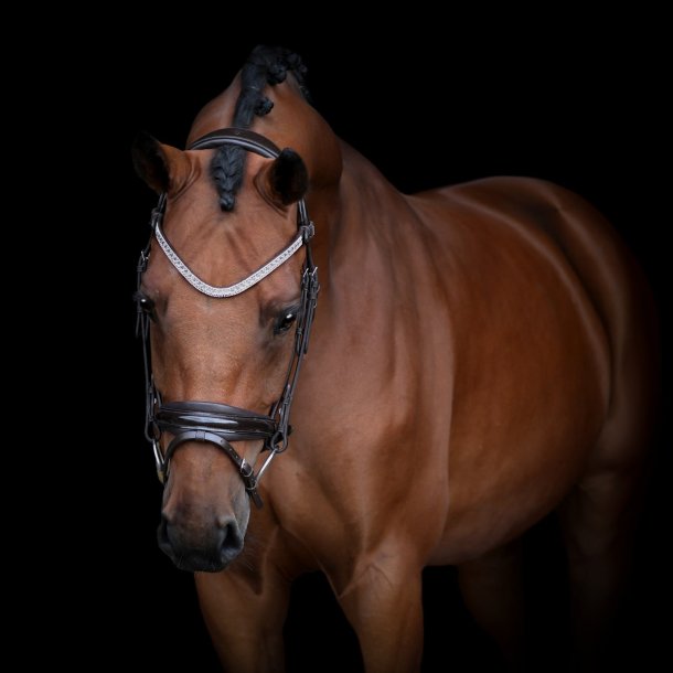 SD Donna Diva browband. Black. 