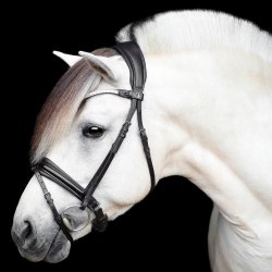 SD Gracieux bridle. Black/Black/PT.