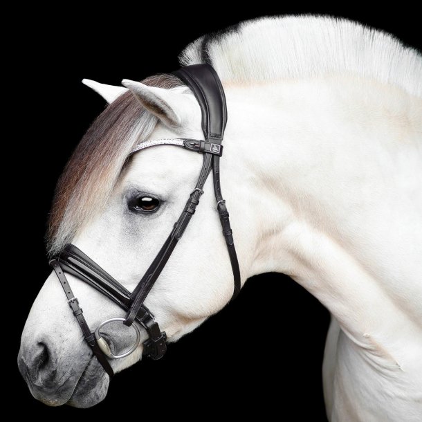 SD Gracieux bridle. Black/Black/PT.