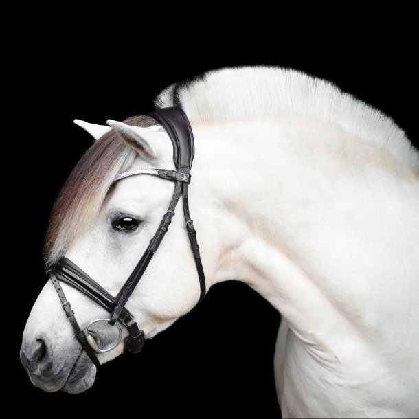 SD Gracieux bridle. Black/Black/PT.