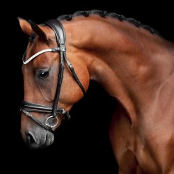 SD Gracieux bridle. Black/Black/PT.