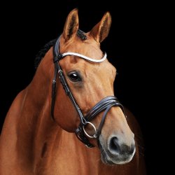 SD Gracieux bridle. Black/Black/PT.