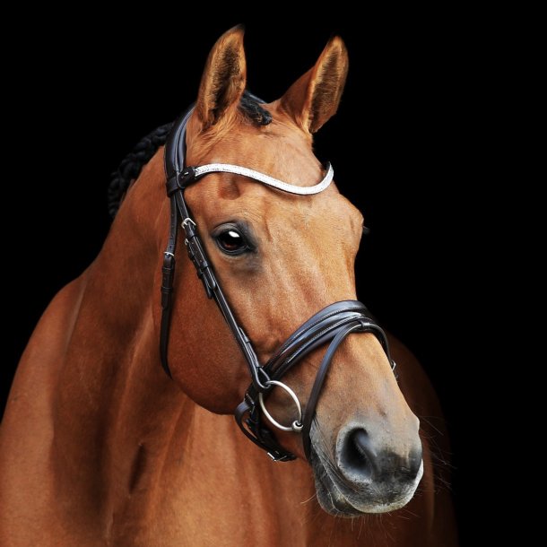 SD Gracieux bridle. Black/Black/PT.