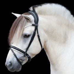 SD Gracieux bridle. Black/White/PT.
