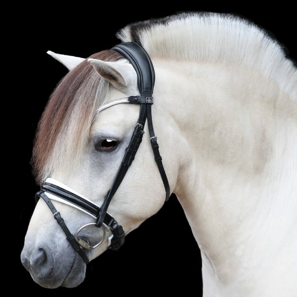 SD Gracieux bridle. Black/White/PT.