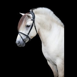 SD Gracieux bridle. Black/White/PT.