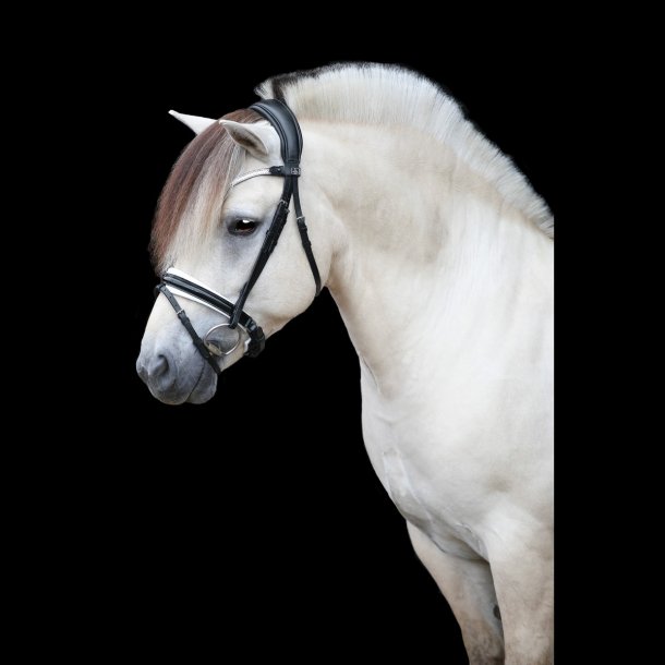 SD Gracieux bridle. Black/White/PT.