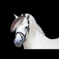 SD Gracieux bridle. Black/White/PT.