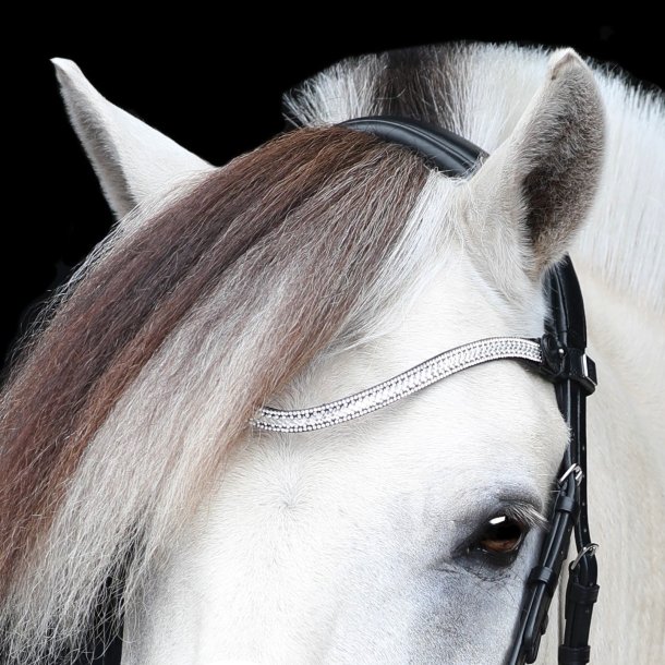 SD Gracieux bridle. Black/White/PT.