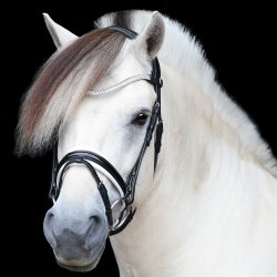 SD Gracieux bridle. Black/White/PT.