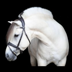 SD Gracieux bridle. Brown/Brown/PT.