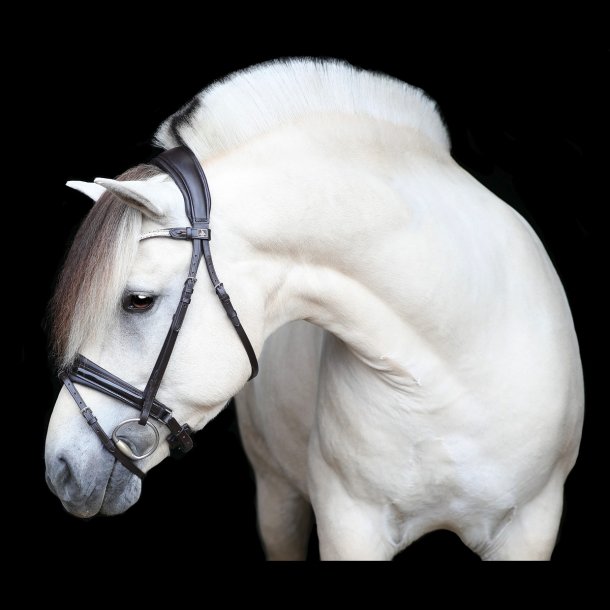 SD Gracieux bridle. Brown/Brown/PT.