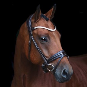 SD Gracieux bridle. Brown/Brown/PT.