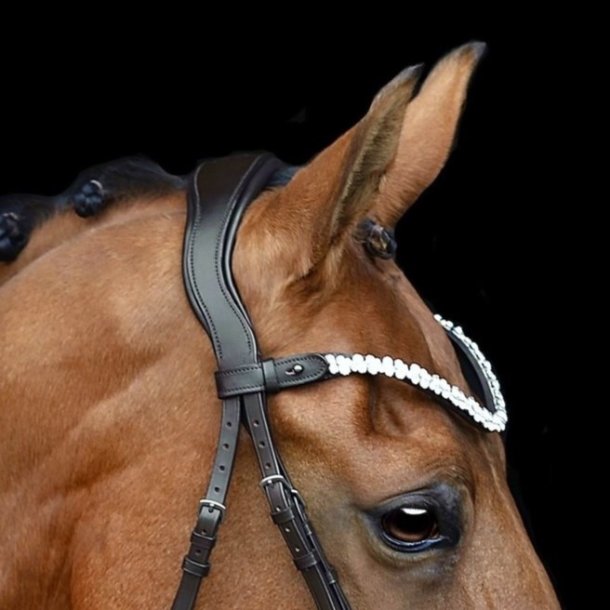 SD Anatomic neckstrap with memory foam. Black.