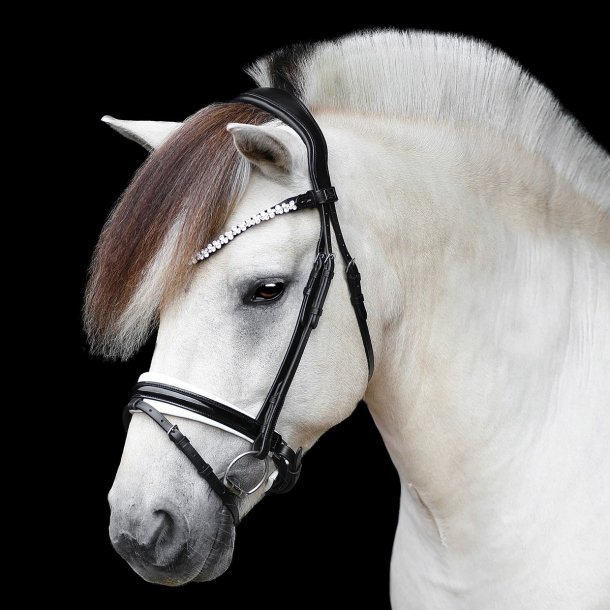 SD Romanov bridle. Black/White/PT. 
