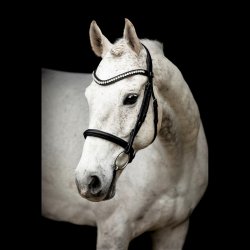 SD� Noseband with removable flash. Black.