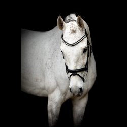 SD� Noseband with removable flash. Black.