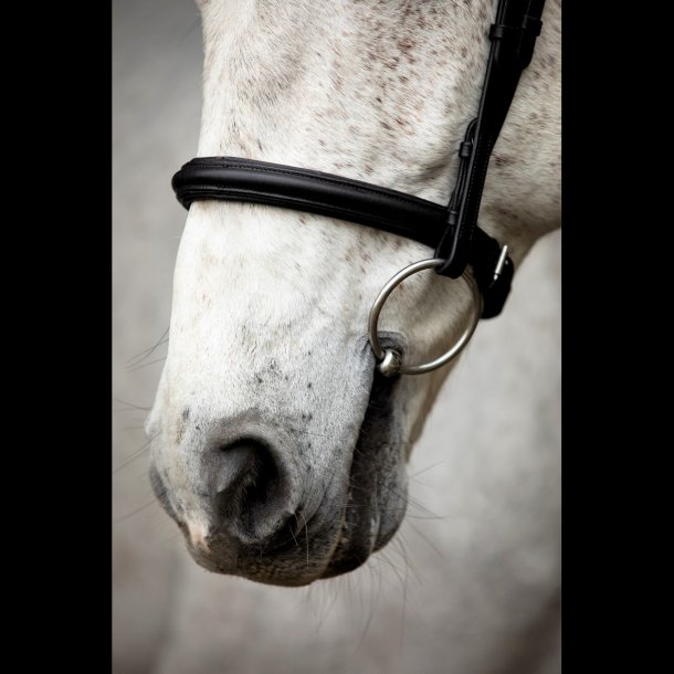 SD� Noseband with removable flash. Black.