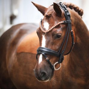 SD Fleur rolled bridle. Black/Black.