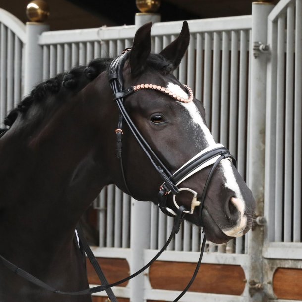 SD Fleur rolled bridle. Black/White.