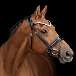 SD Velaggio Browband. Black/Crystal.