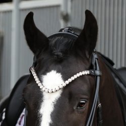 SD Velaggio Browband. Black/Crystal.