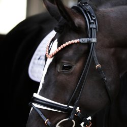 SD Velaggio Browband. Black/Rose Gold.