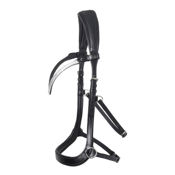 SD Rusty Bitless bridle. Black.