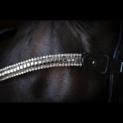 SD Crelido Browband. Black/Silver.