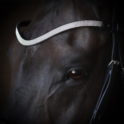 SD D'avie Browband. Black/Crystal.  