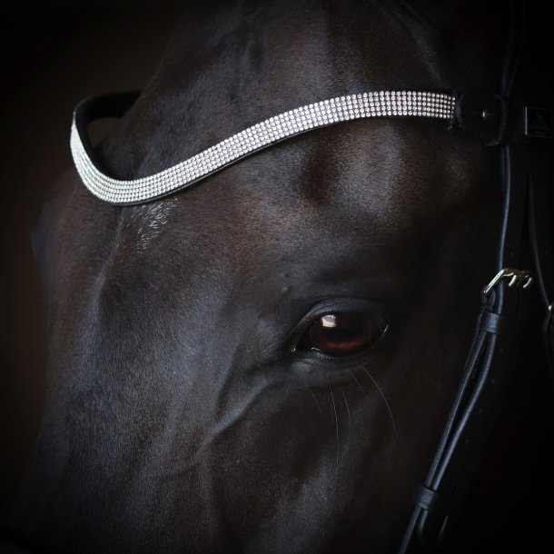 SD D'avie Browband. Black/Crystal.  