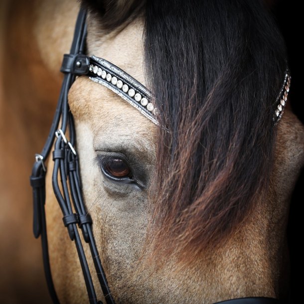 SD Diamond Extreme Browband. Black/Crystal.