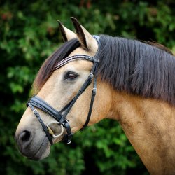 SD Diamond Extreme Browband. Black/Rose.