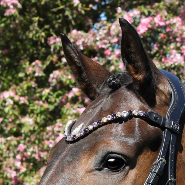 SD Bespoke Browband. 3 optional colours of 10mm crystals.