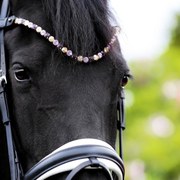 SD Bespoke Browband. 3 optional colours of 10mm crystals.