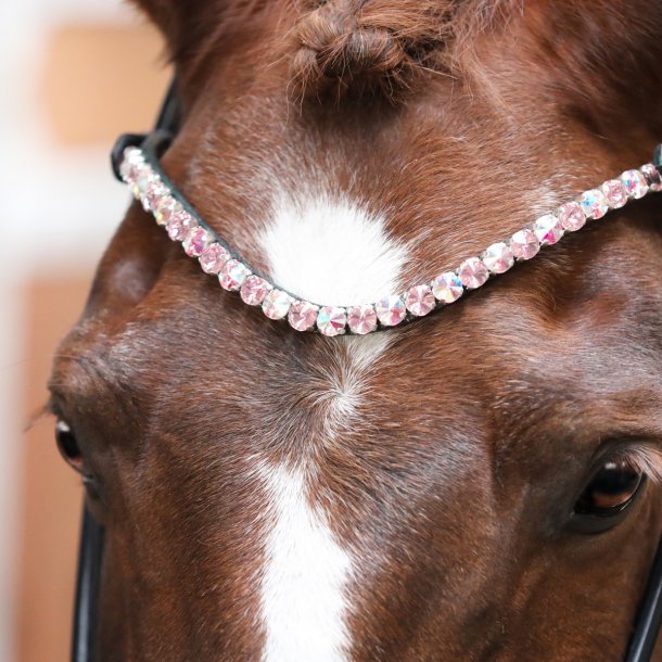 SD Bespoke Browband. 2 optional colours of 10mm crystals.