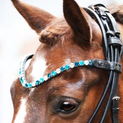 SD Bespoke Browband. 3 optional colours of 10mm crystals.