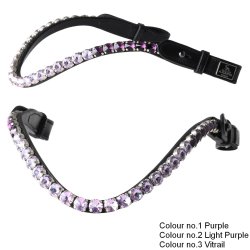 SD Bespoke Ombre Browband. 3 optional colours of 10mm Crystals.