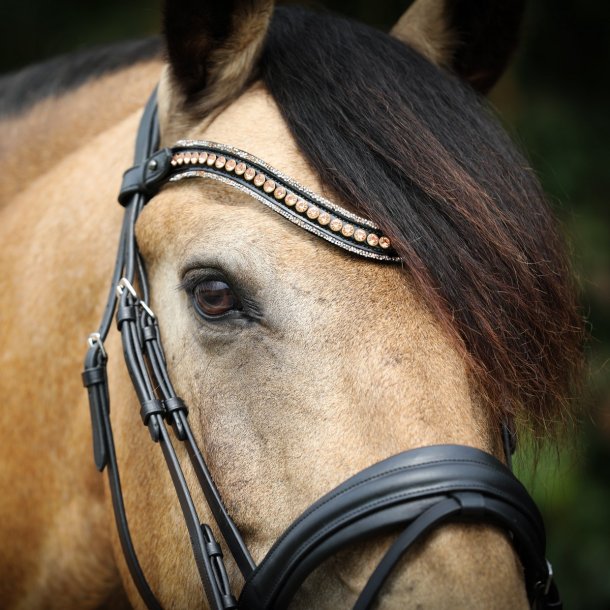 SD Diamond Extreme Browband. Black/Rose Gold.