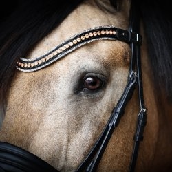 SD Diamond Extreme Browband. Black/Rose Gold.