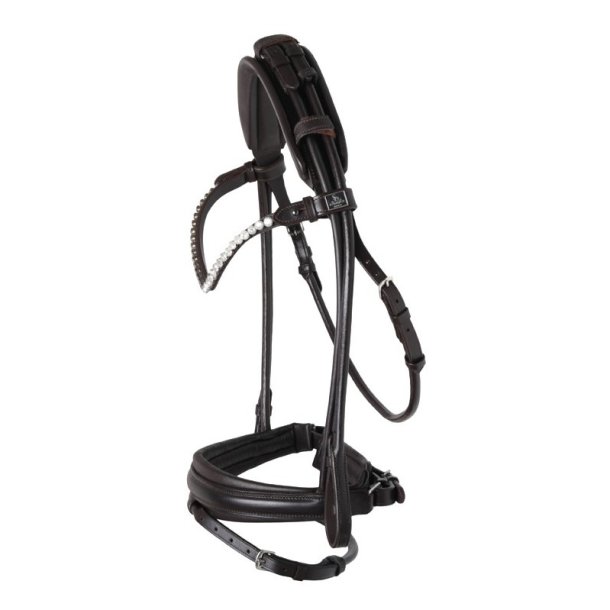 SD Rivelli rolled bridle. Brown.