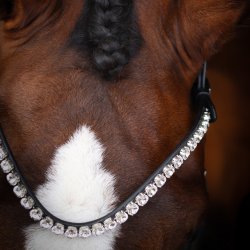 SD L nique II bridle. Black.