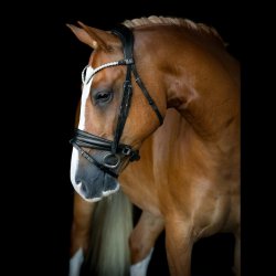 SD L nique II bridle. Black.