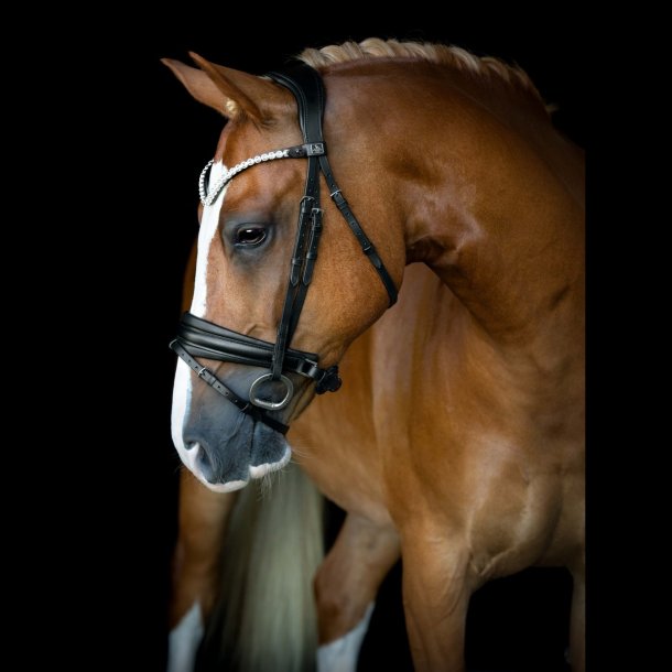 SD L nique II bridle. Black.