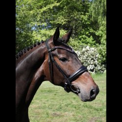 SD Bespoke Browband. 1 optional colour of 10mm Crystals.