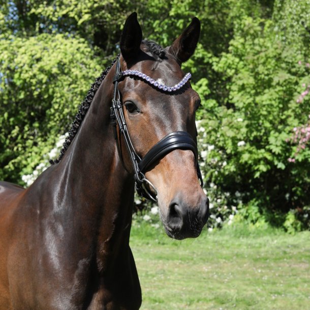 SD Bespoke Browband. 1 optional colour of 14mmCrystals.