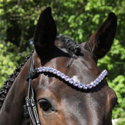 SD Bespoke Browband. 1 optional colour of 14mmCrystals.