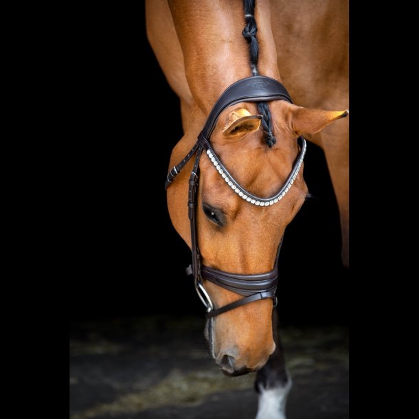 SD Anatomic neckstrap. Black.