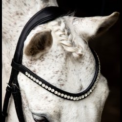 SD Anatomic neckstrap 3 cm. Black.